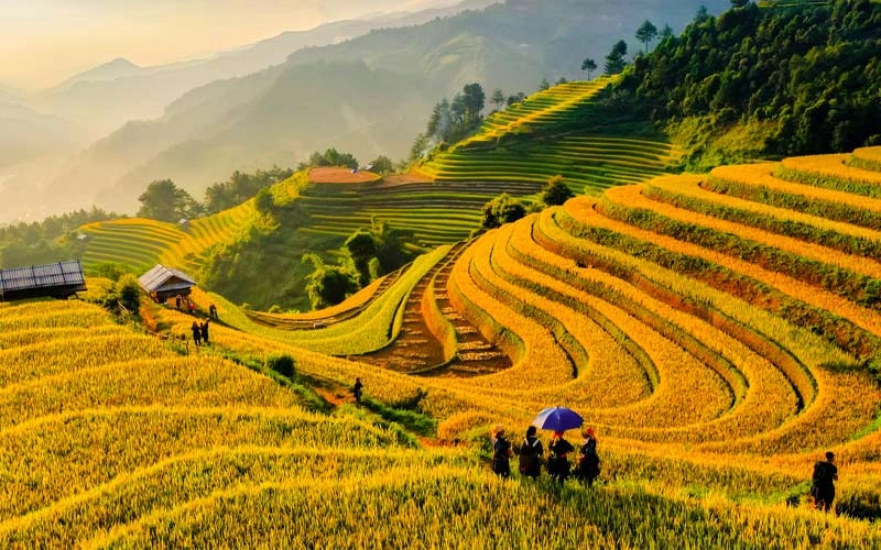 Lựa chọn khách sạn mù cang chải yên bái tốt nhất