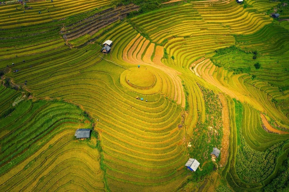 Điểm đến lý tưởng: mù cang chải tháng nào đẹp nhất