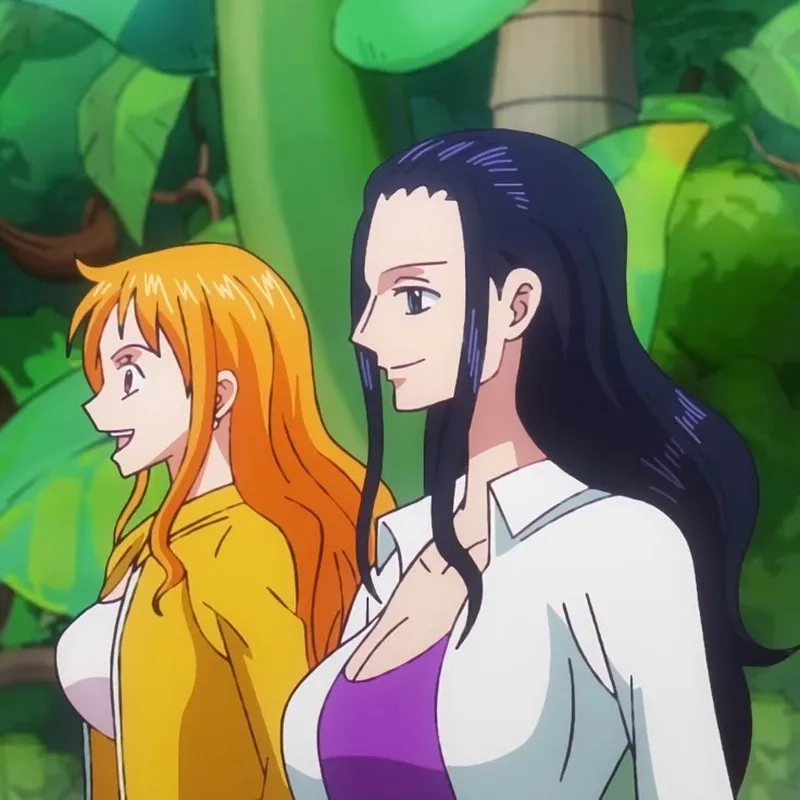 Fan art Nico Robin and Nami gây bão cộng đồng