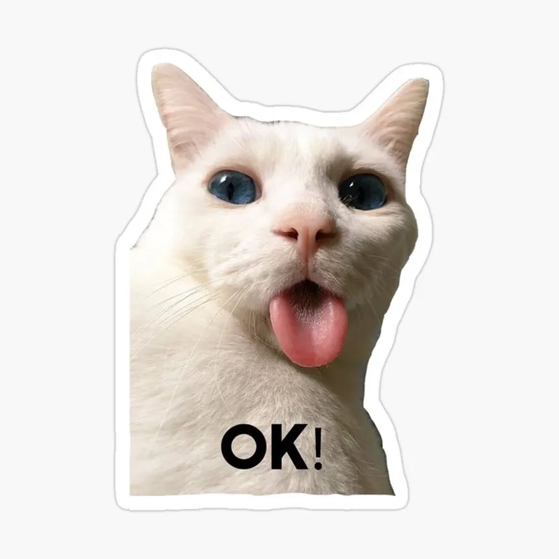 Meme ok mèo siêu dễ thương gật đầu duyên dáng