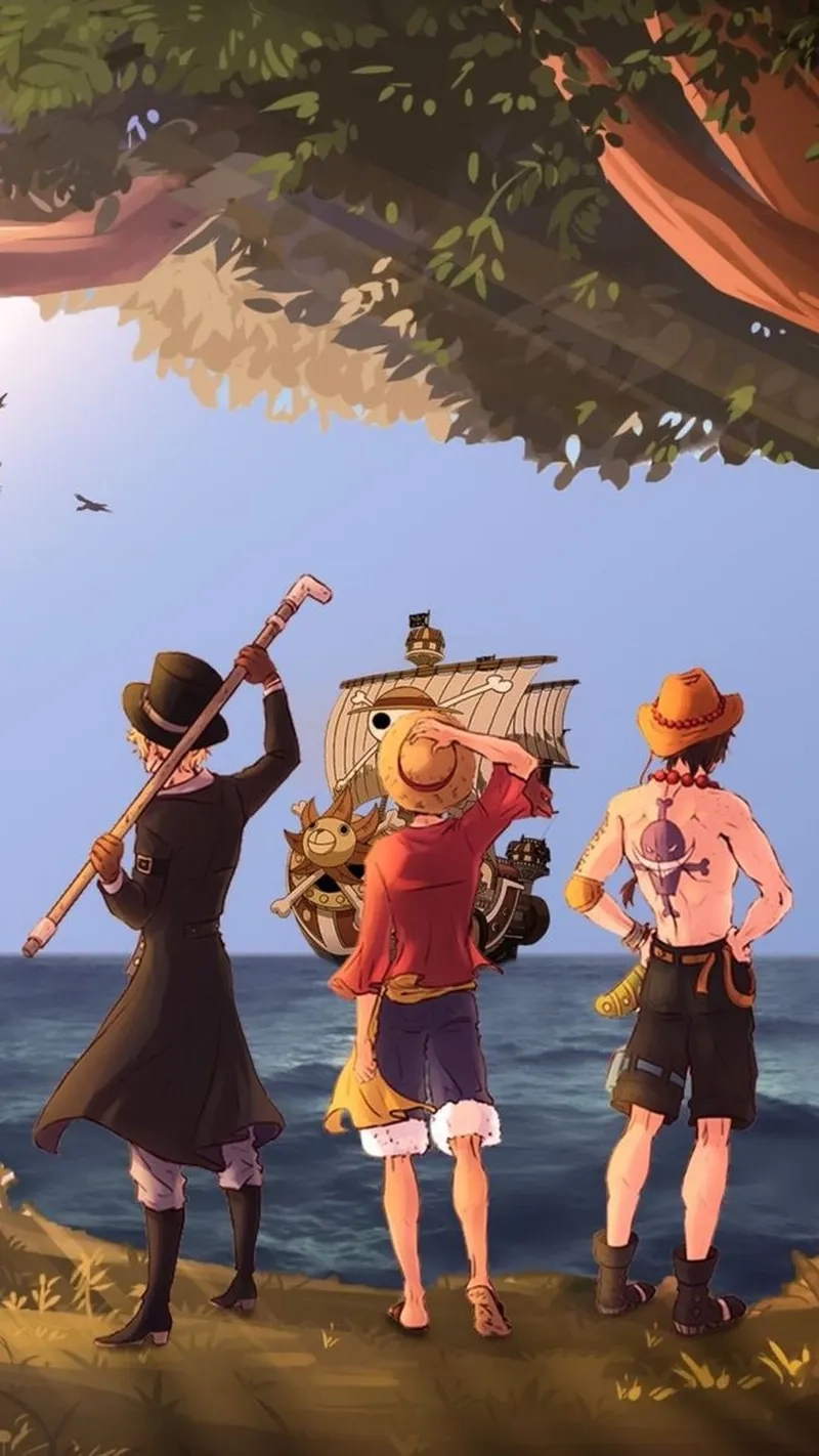 Bộ sưu tập Figuarts Zero Luffy Ace Sabo dành cho fan chân chính