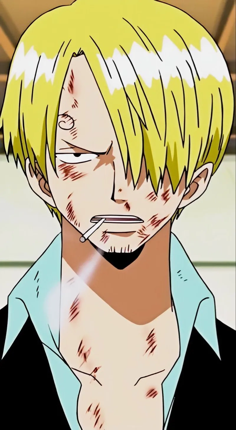 Hồ sơ đầy đủ của Sanji One Piece Wiki