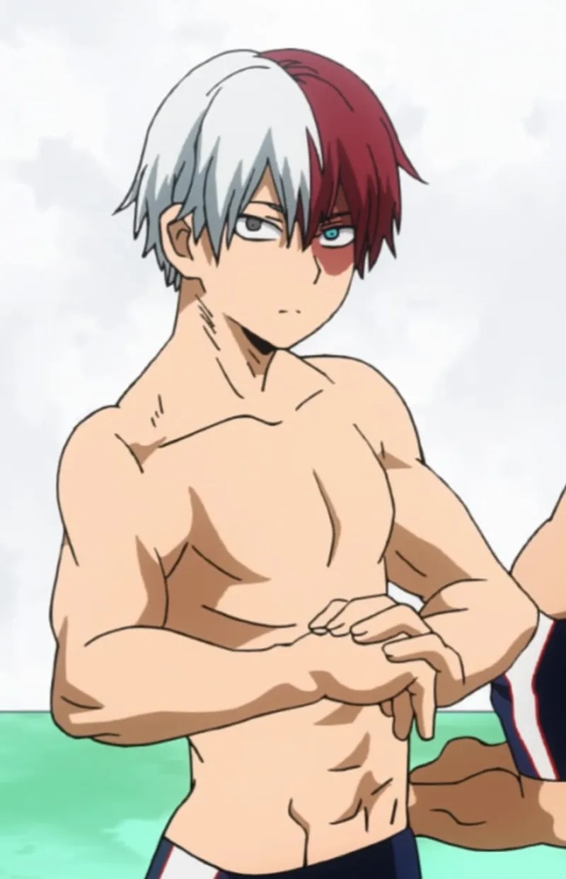 Khám phá vẻ đẹp đầy mạnh mẽ trong từng My Hero Academia Shoto