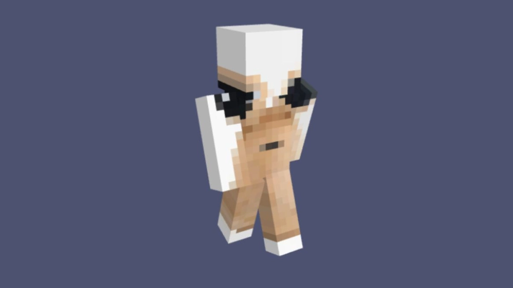 Minecraft Minecraft meme meme lồng meme, troll level “vô cực”