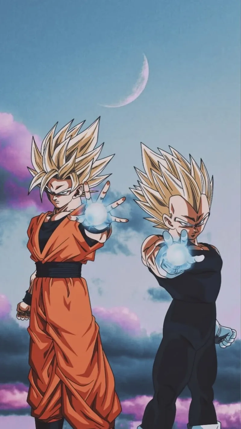 Vegeta Goku một sự kết hợp không thể nào quên.