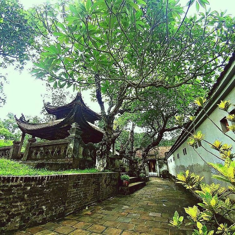 Giới thiệu về thành Cổ Loa ngắn gọn nhưng đầy ý nghĩa
