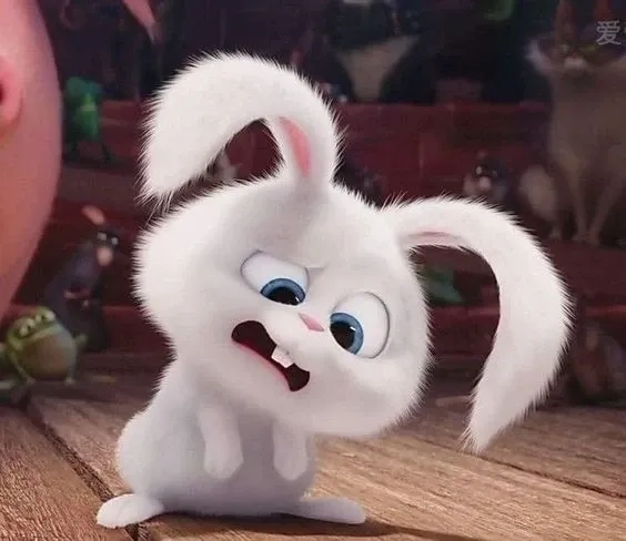Thỏ Snowball phim gì là câu hỏi fan hoạt hình luôn tìm kiếm