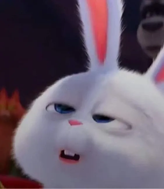 Thỏ Snowball ảnh siêu nhiều biểu cảm khiến dân tình mê mệt