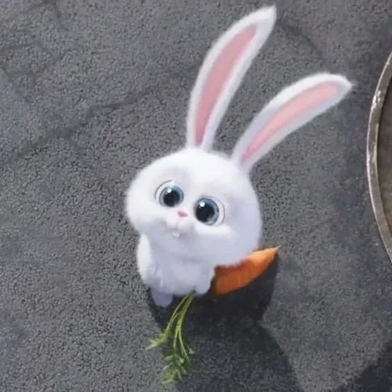 Ảnh Thỏ Snowball siêu cute, nhìn là muốn lưu ngay