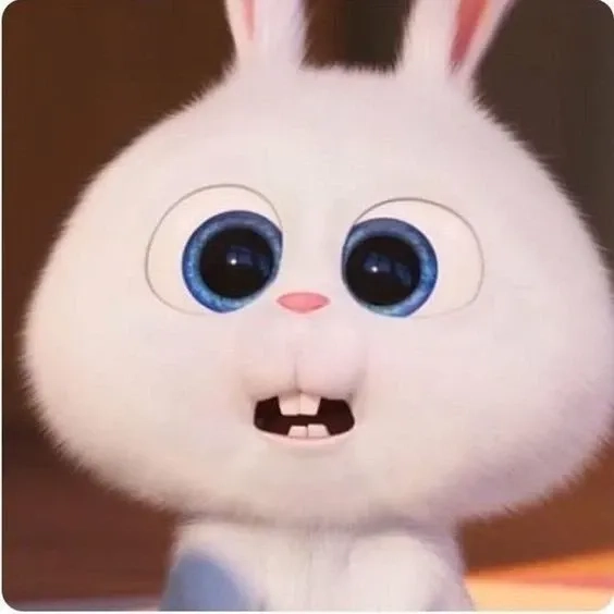 Meme Thỏ Snowball tạo trend siêu hot khắp mạng xã hội