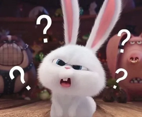 Ý nghĩa của thỏ Snowball