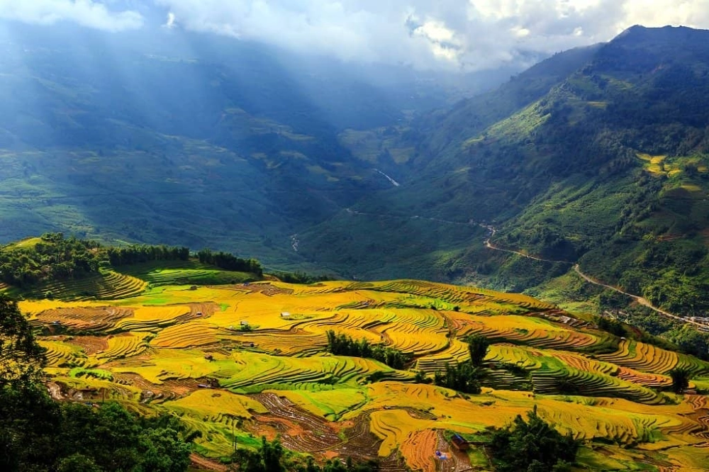 Chiêm ngưỡng thung lũng trong sương mù