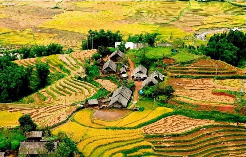 Hướng dẫn chi tiết cách đi thung lũng mường hoa