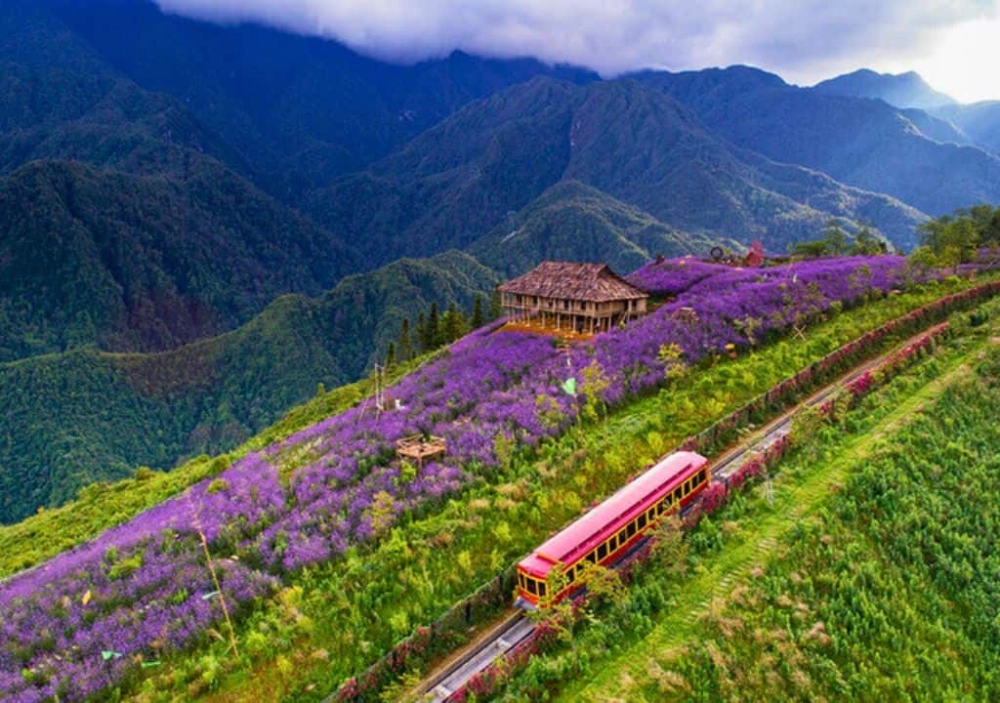 Gợi ý du lịch thung lũng mường hoa cuối tuần
