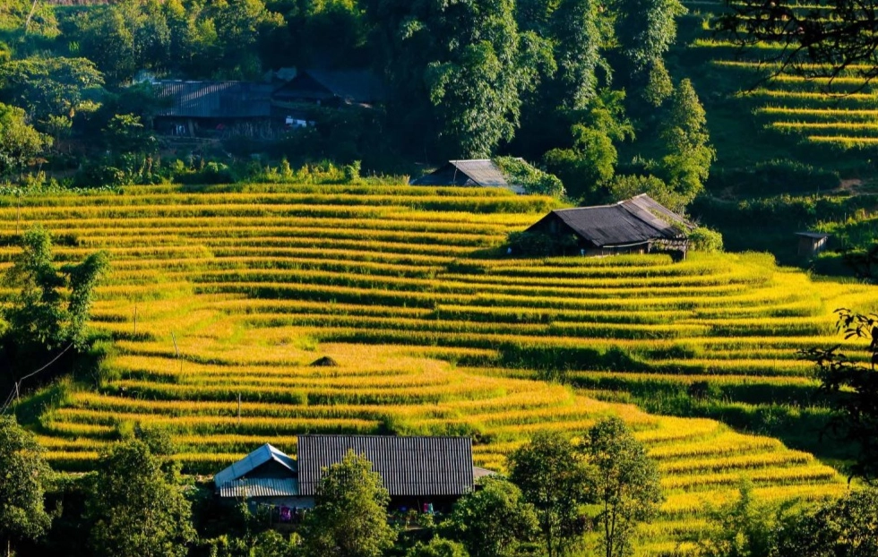 Album đẹp ảnh thung lũng mường hoa cực cuốn