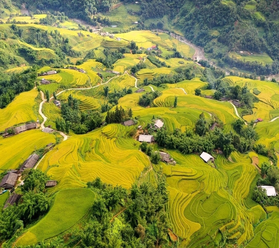 Check in điểm ngắm toàn cảnh thung lũng mường hoa