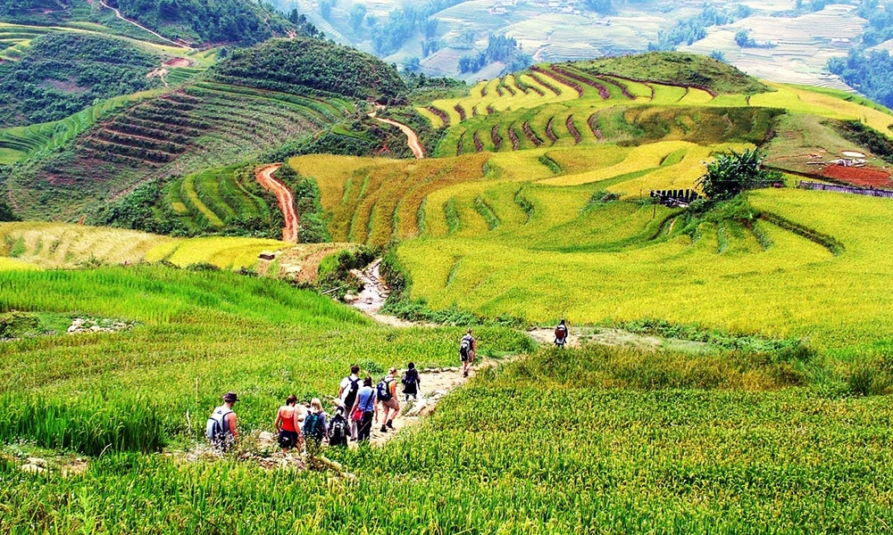 Giải đáp câu hỏi thung lũng mường hoa ở đâu