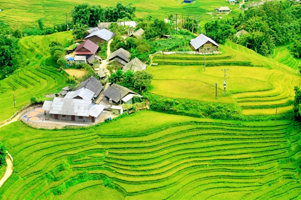 Góc sống ảo tại thung lũng mường hoa sa pa