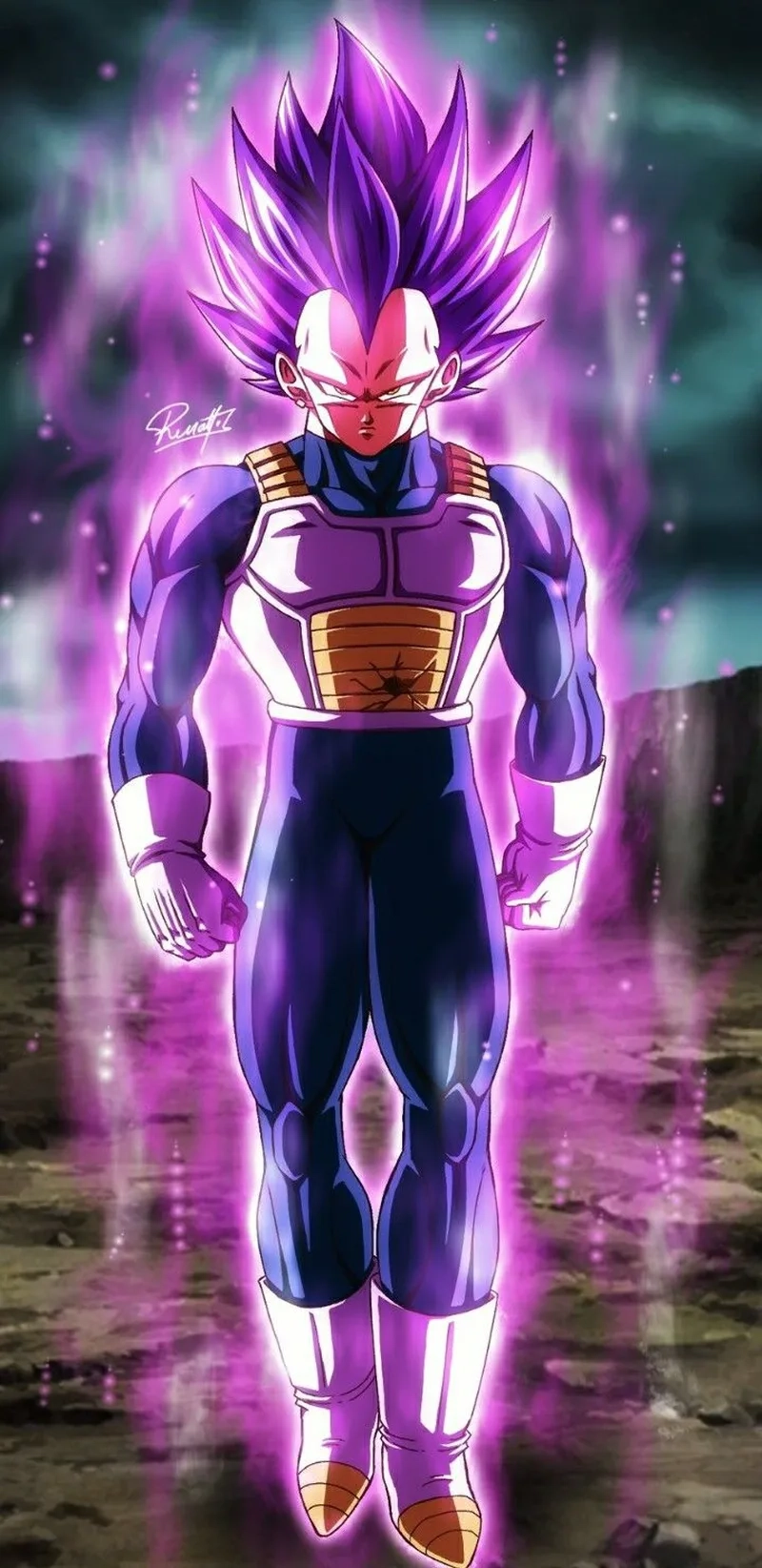 Vegeta art luôn truyền tải sự mạnh mẽ và vẻ đẹp trong từng nét vẽ