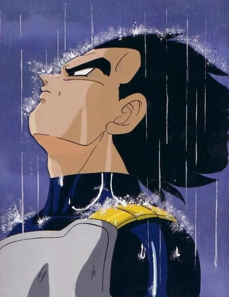 Cùng xem Vegeta rain meme trong những khoảnh khắc hài hước của Dragon Ball