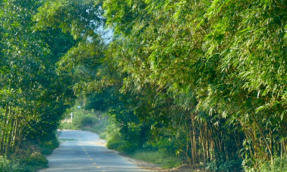 Di chuyển tiện lợi bằng xe bus đi việt phủ thành chương