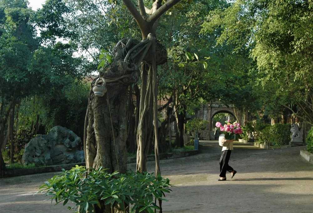 Tham quan phủ thành chương sóc sơn mùa nào cũng đẹp