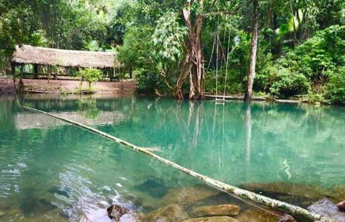 Câu hỏi thú vị vườn quốc gia xuân sơn thuộc vùng nào