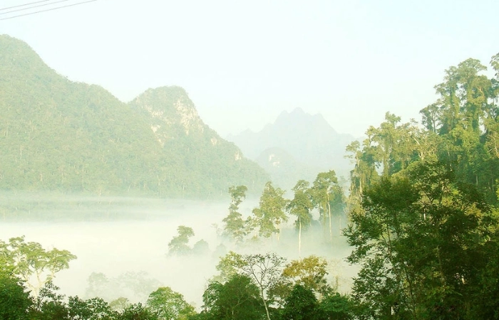 Tham khảo nhanh giá vé vườn quốc gia xuân sơn