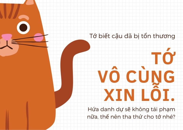Đơn xin lỗi meme lầy lội nhưng đầy chân thành
