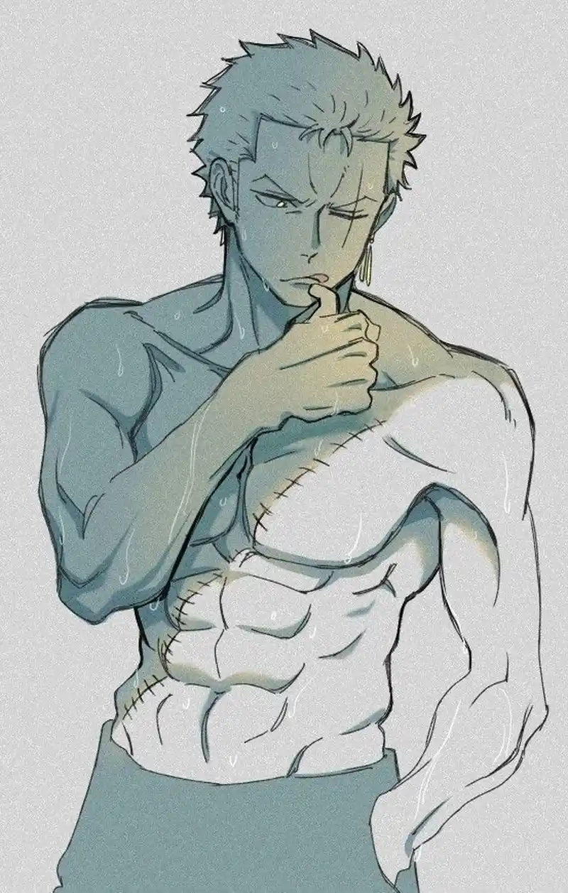 Bộ sưu tập Zoro drawing chất lượng cao