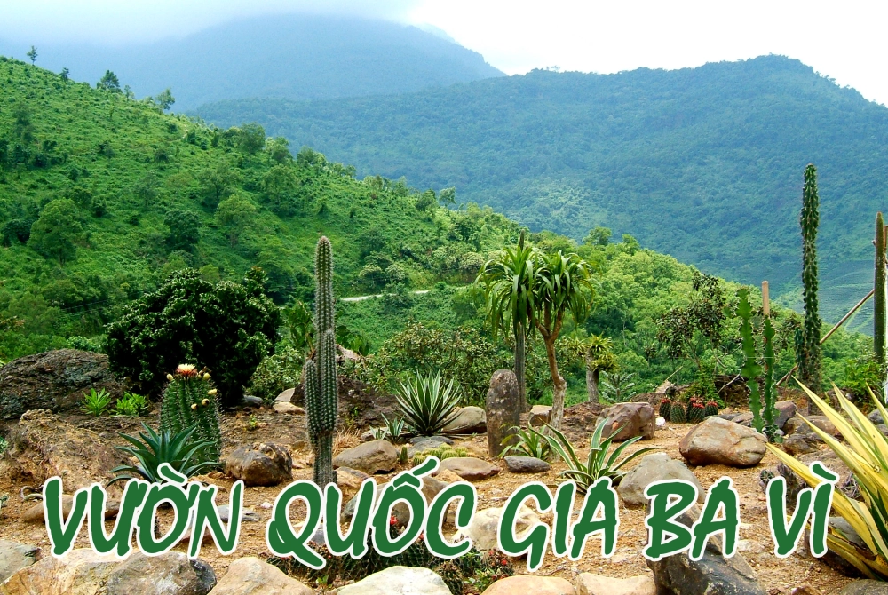 Khám phá đôi nét về vườn Quốc gia Ba Vì với cảnh quan tuyệt đẹp