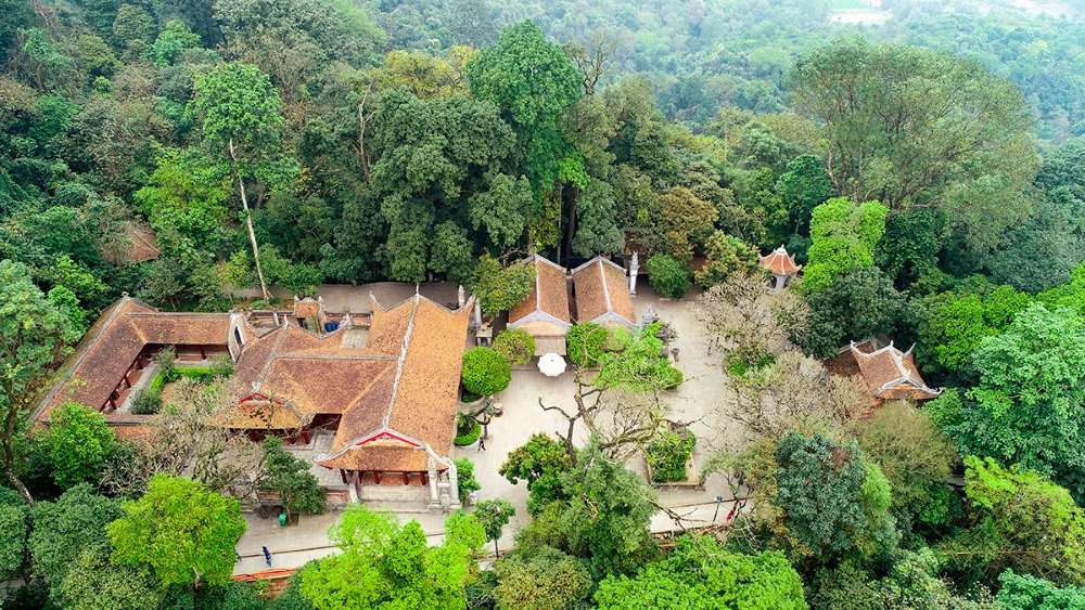 Hình ảnh Lễ hội Đền Hùng rực rỡ sắc màu