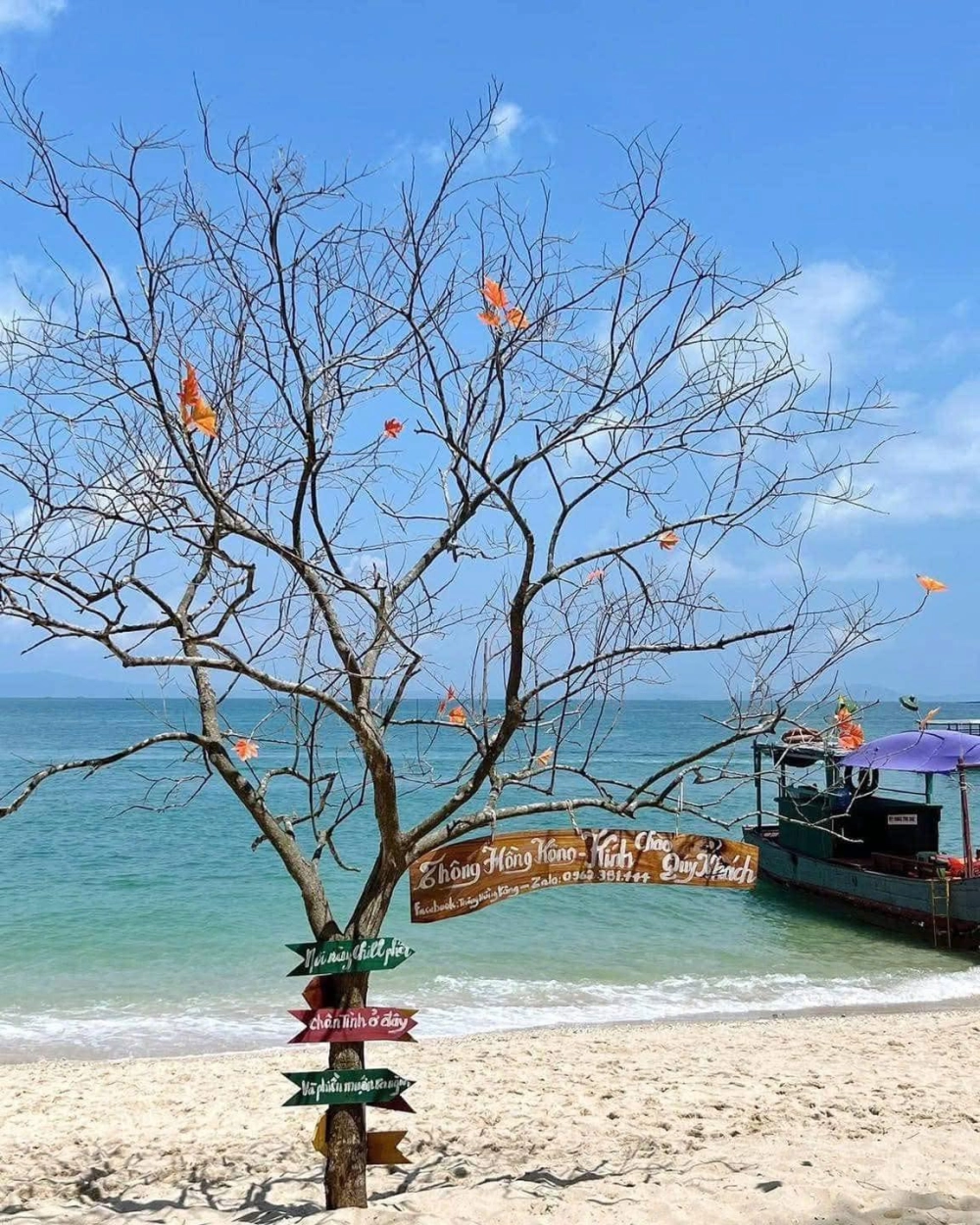 Xem ngay dự báo thời tiết đảo cô tô hôm nay
