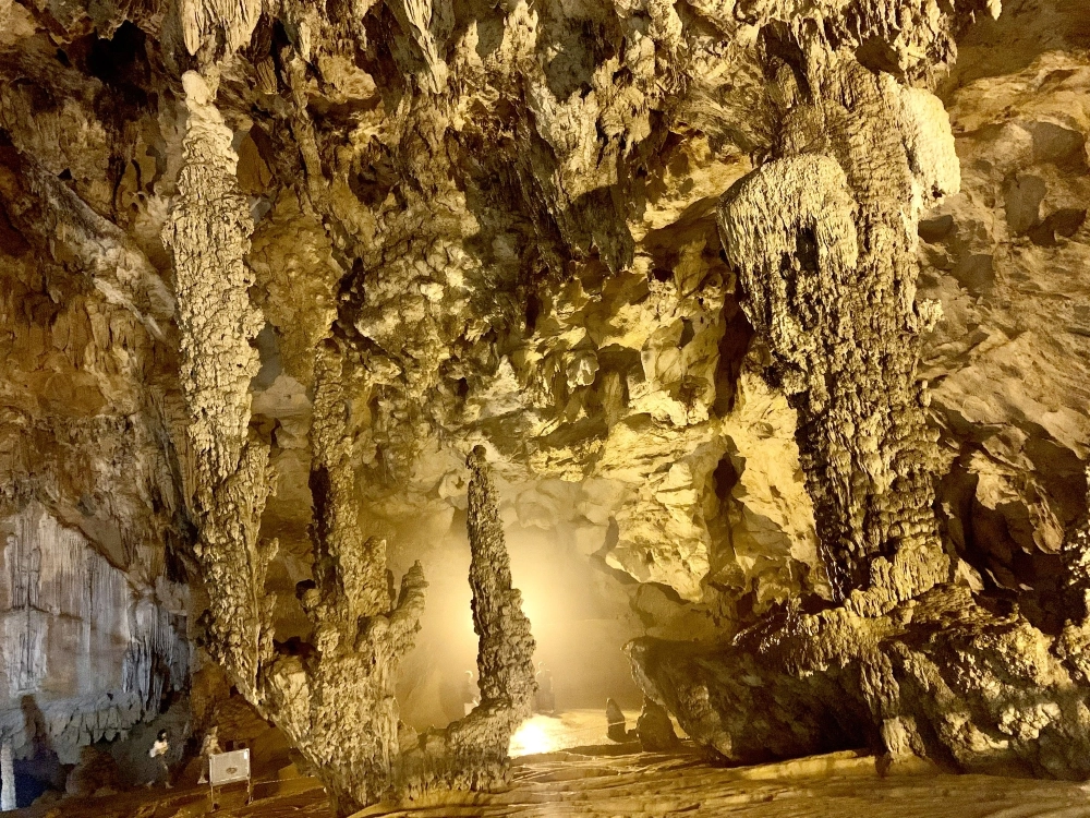 Khám phá vẻ đẹp bí ẩn của đông ngườm ngao qua từng bước chân