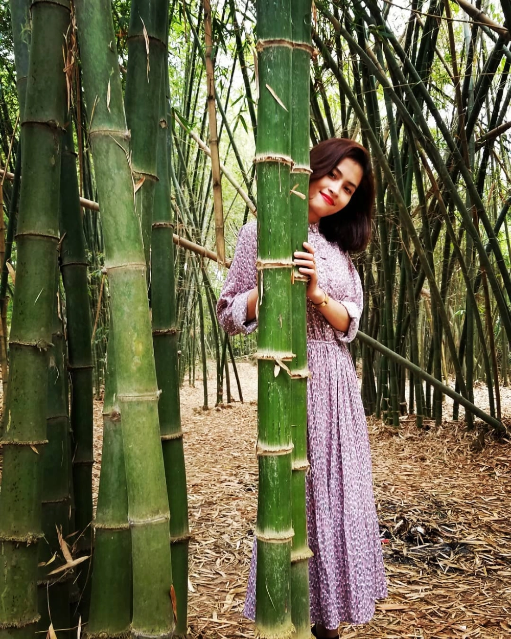 Khám phá làng tre phú an ở bình dương trong tour sinh thái