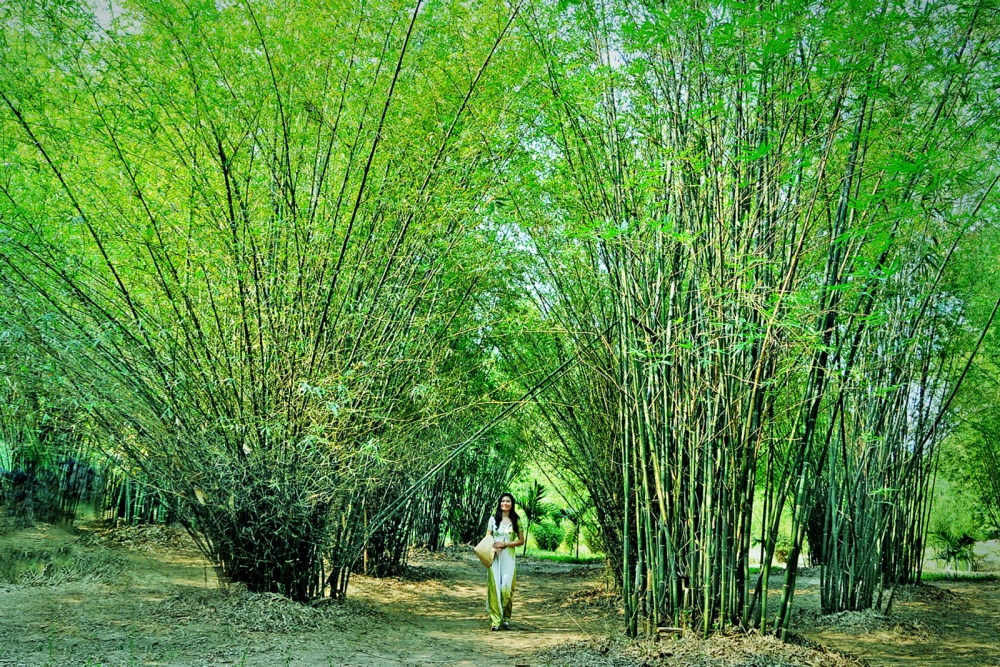Trải nghiệm những hoạt động tại làng tre phú an thú vị cho cả nhà