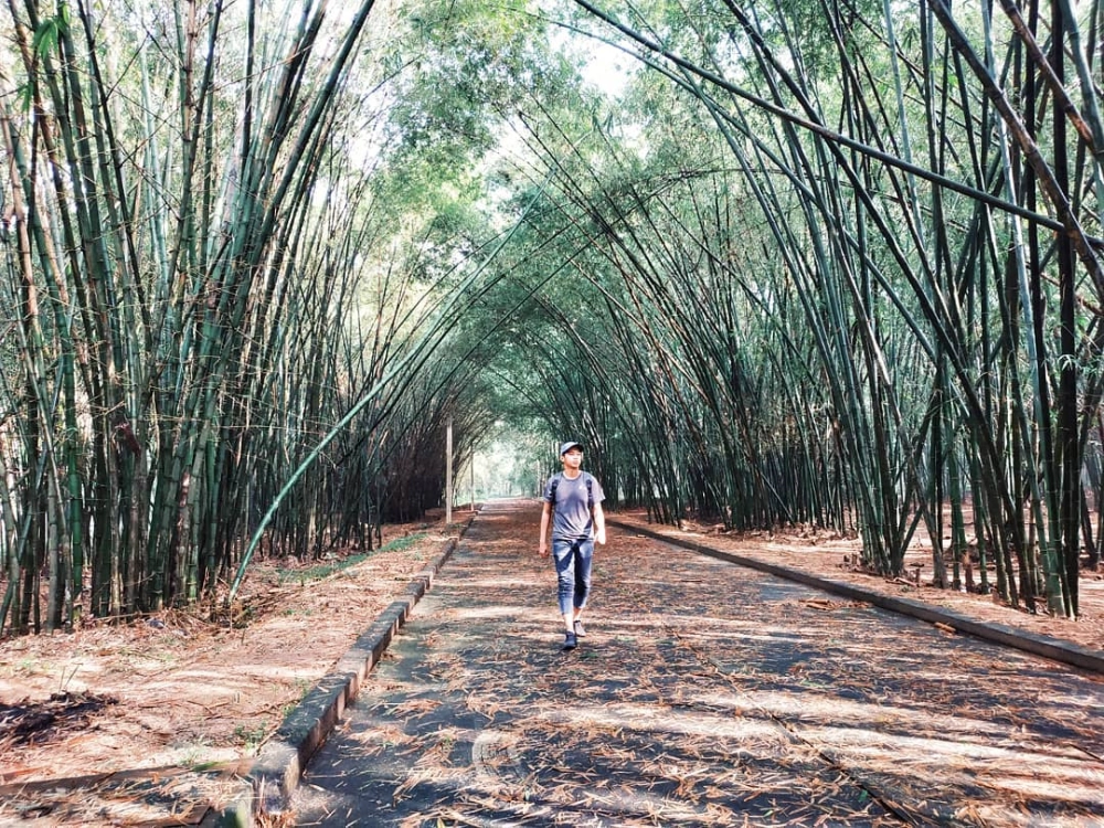 Tham khảo làng tre an phú trong hành trình về với thiên nhiên