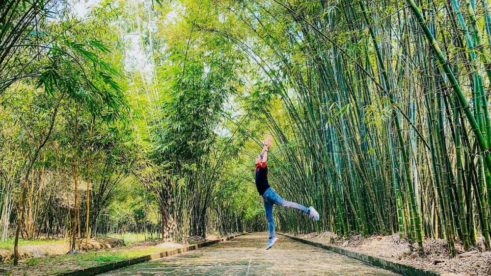 Đọc ngay làng tre phú an review thực tế từ du khách