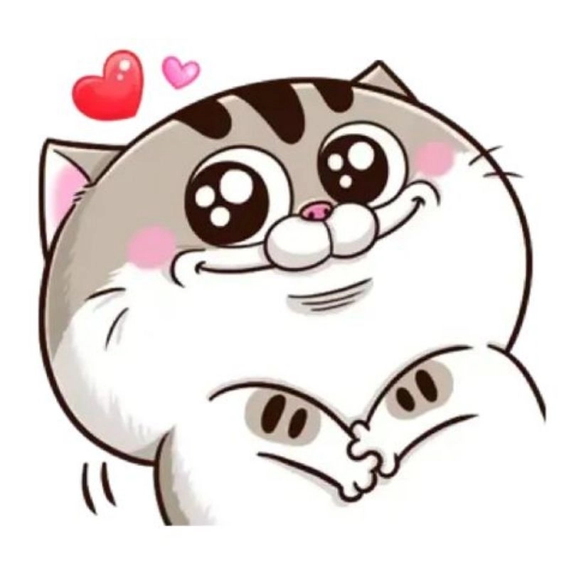 Ảnh avatar mèo dễ thương lông mềm cuốn hút