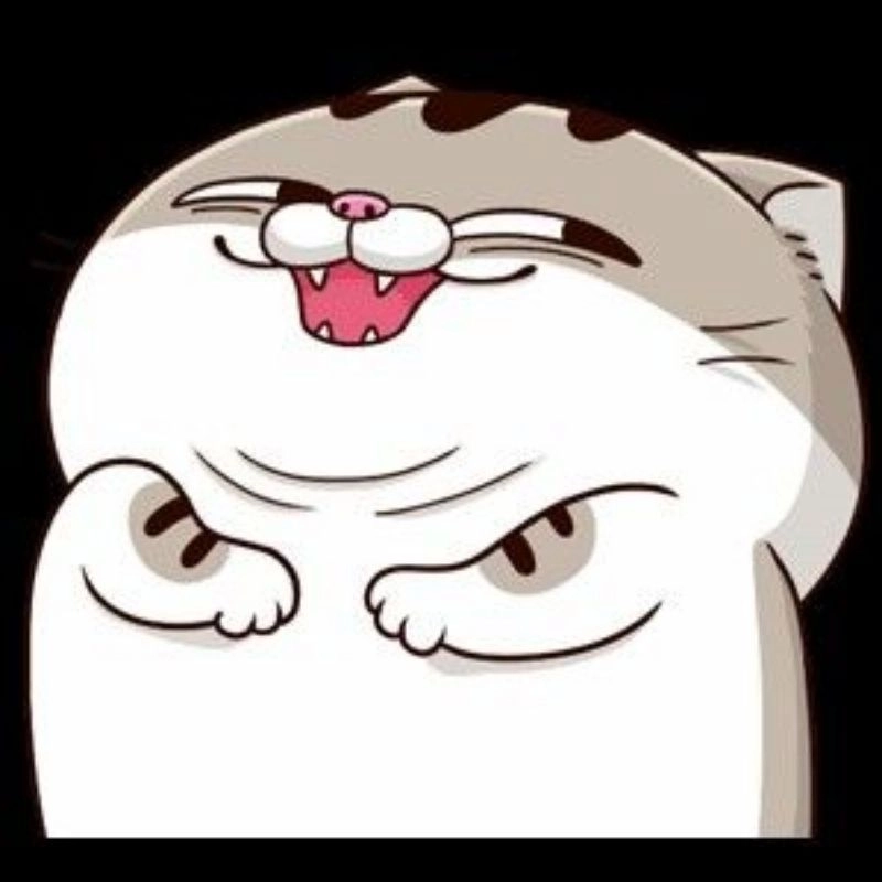 Dễ thương avatar mèo vô tri ngây thơ cute