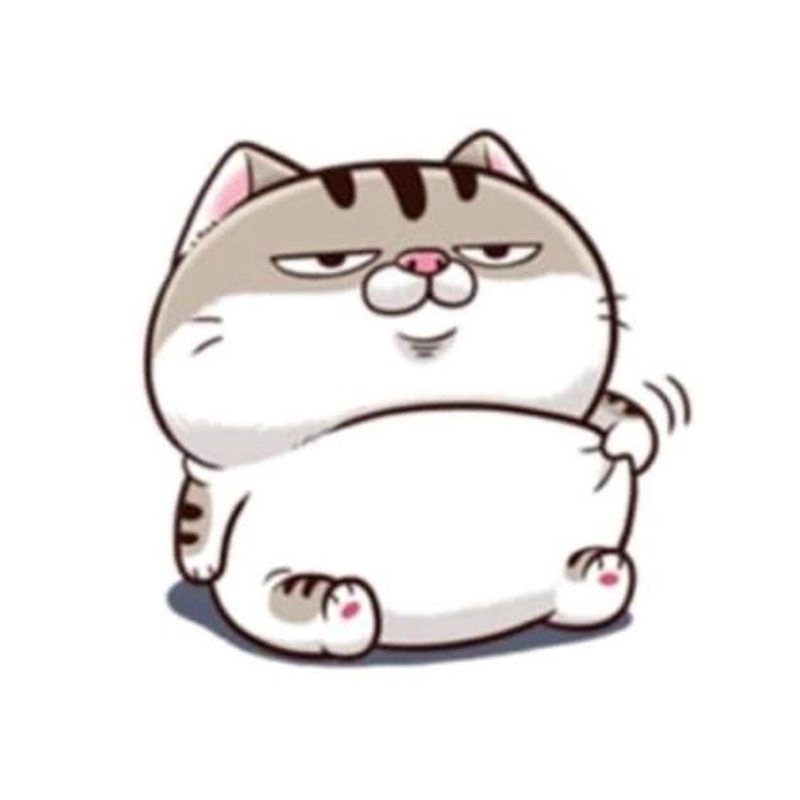 Avatar mèo hài biểu cảm troll cười ngất