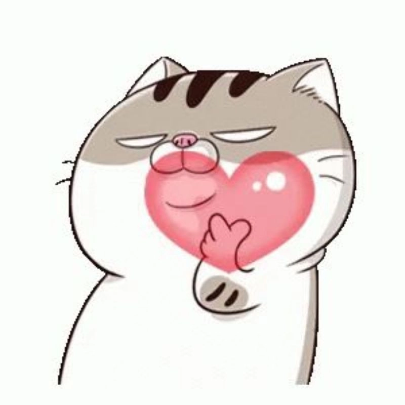 Avatar mèo dễ thương mắt tròn siêu mê ly