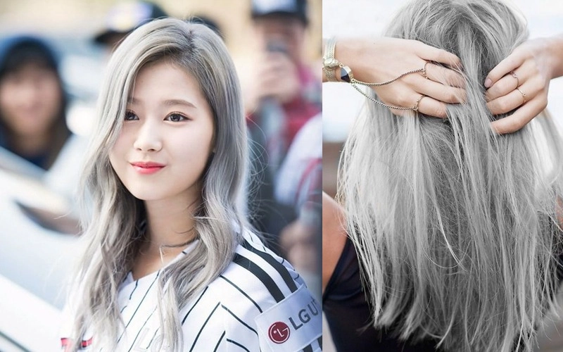 Màu xám khói tone lạnh trendy siêu chất