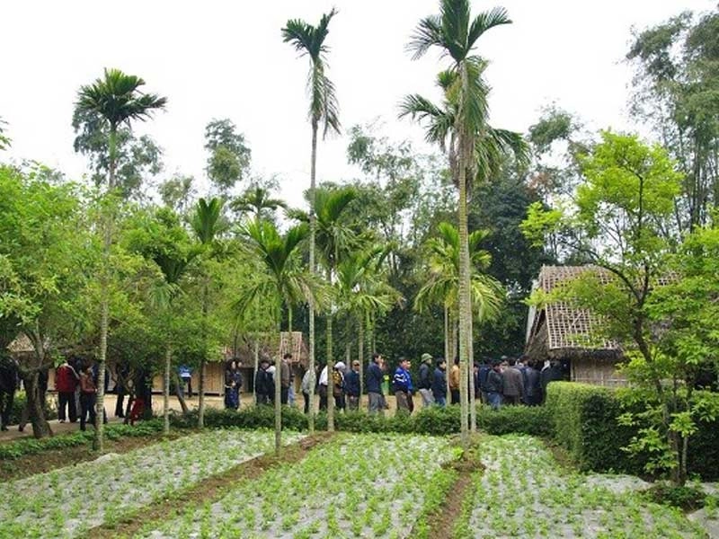 Làng Kim Liên lưu giữ nhiều giá trị văn hóa truyền thống.