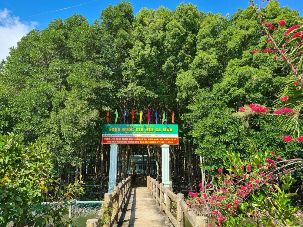 Địa chỉ vườn quốc gia Mũi Cà Mau thuận tiện cho tham quan.