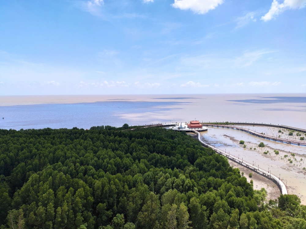 Khám phá vườn quốc gia Mũi Cà Mau là hành trình thú vị.