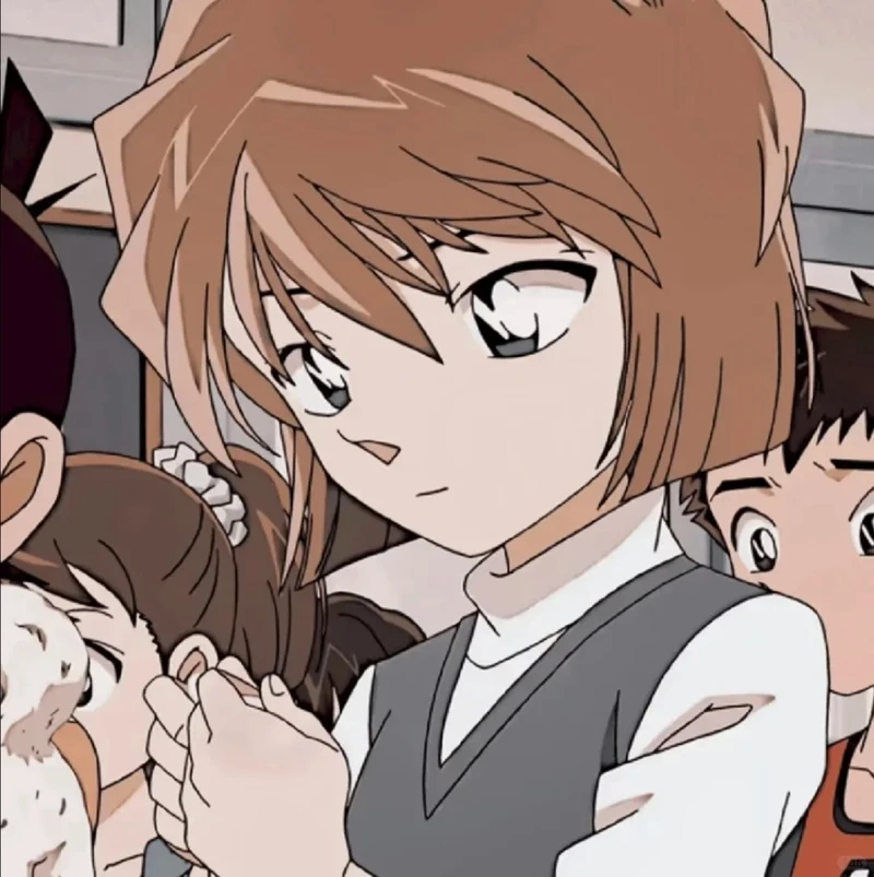 Nhân vật bí ẩn trong haibara ai conan cực cuốn hút