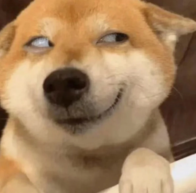 Cười bể bụng với really meme hài hước đang gây bão