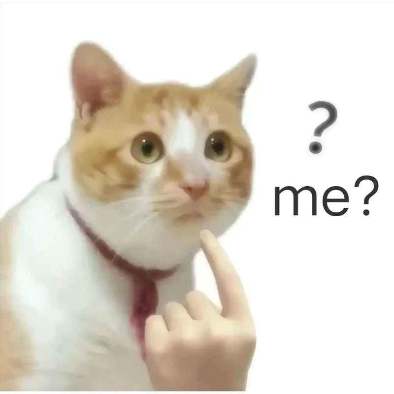 Thư giãn cùng really meme vui nhộn mỗi ngày